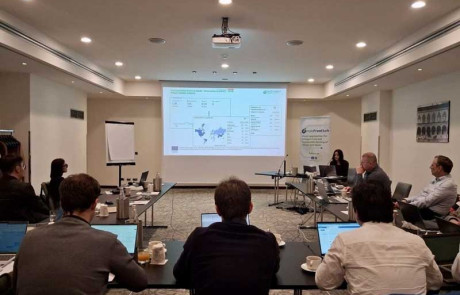 the-General-Assembly-Meeting-of-HaloFreeEtch-Dissemination-presentation-Cristina-Schiavi-TIH